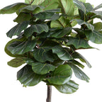Close-up of the 6.5' faux fiddle leaf fig standard's leafy canopy