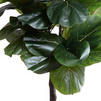 Detail of the 6.5' faux fiddle leaf fig standard's leaves and trunk