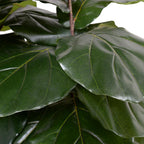 Close-up of the 5.5' faux fiddle leaf fig's glossy leaves