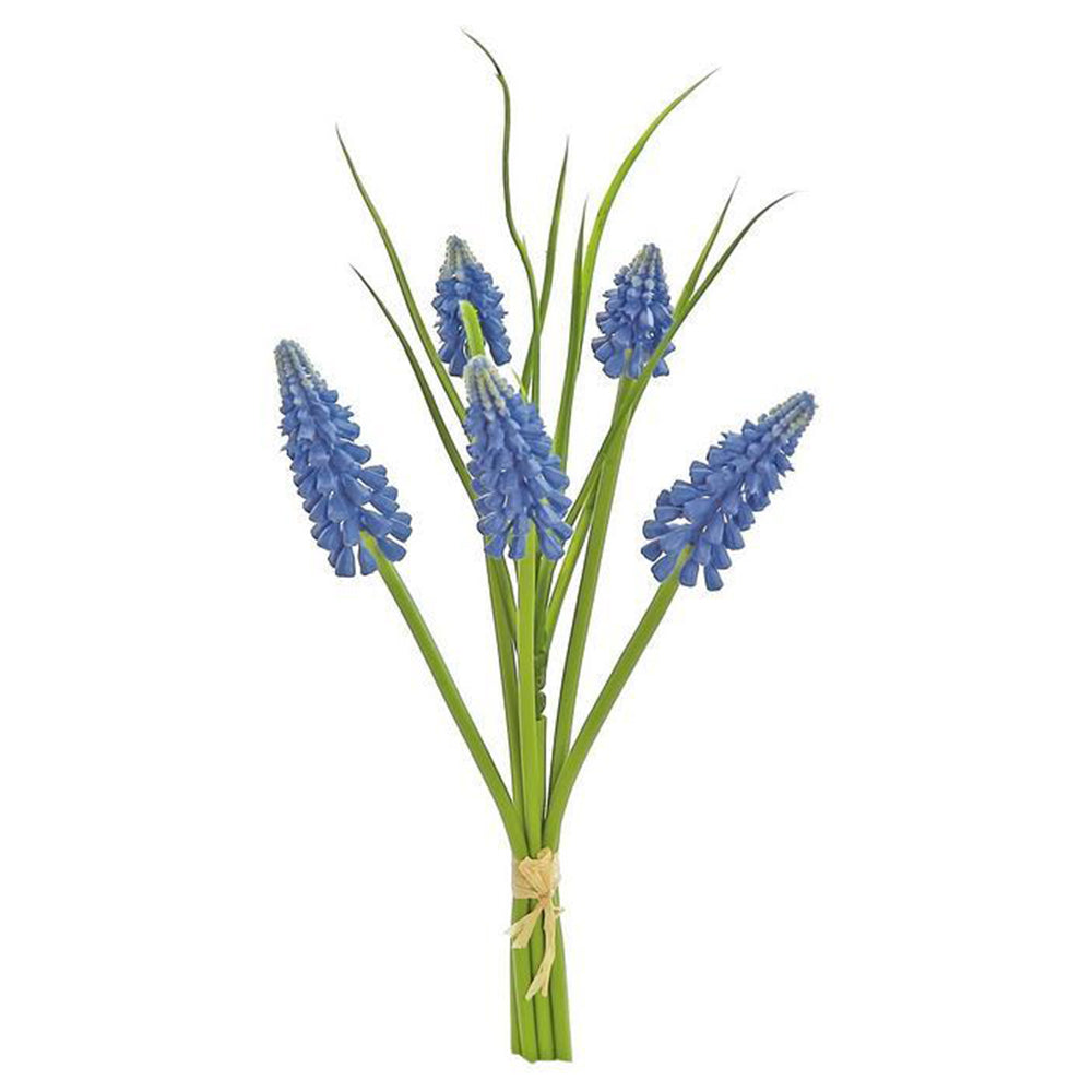 Grape Hyacinth Bundle 10"