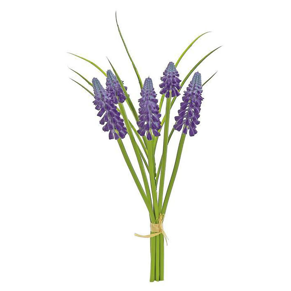 Grape Hyacinth Bundle 10"