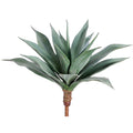 Blue Agave Large