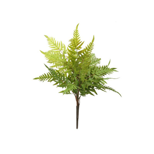 Wood Fern 16"