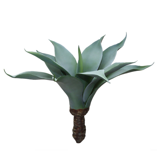 Agave 18"