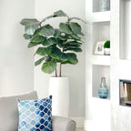 5.5' faux fiddle leaf fig in a tall white planter in a living room