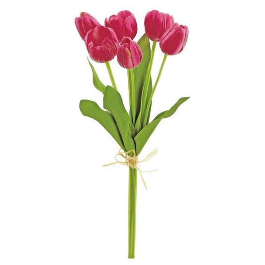 Small Tulip Bundle