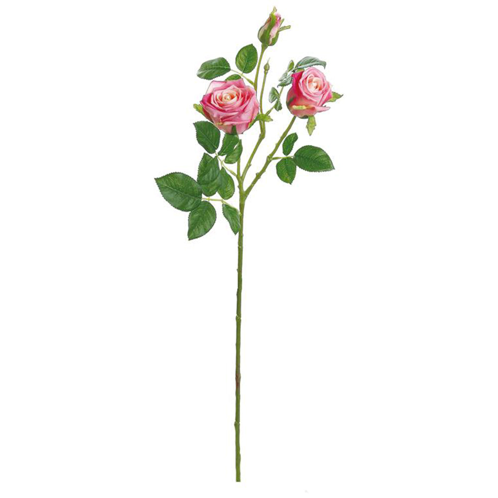 Tea Rose 31"