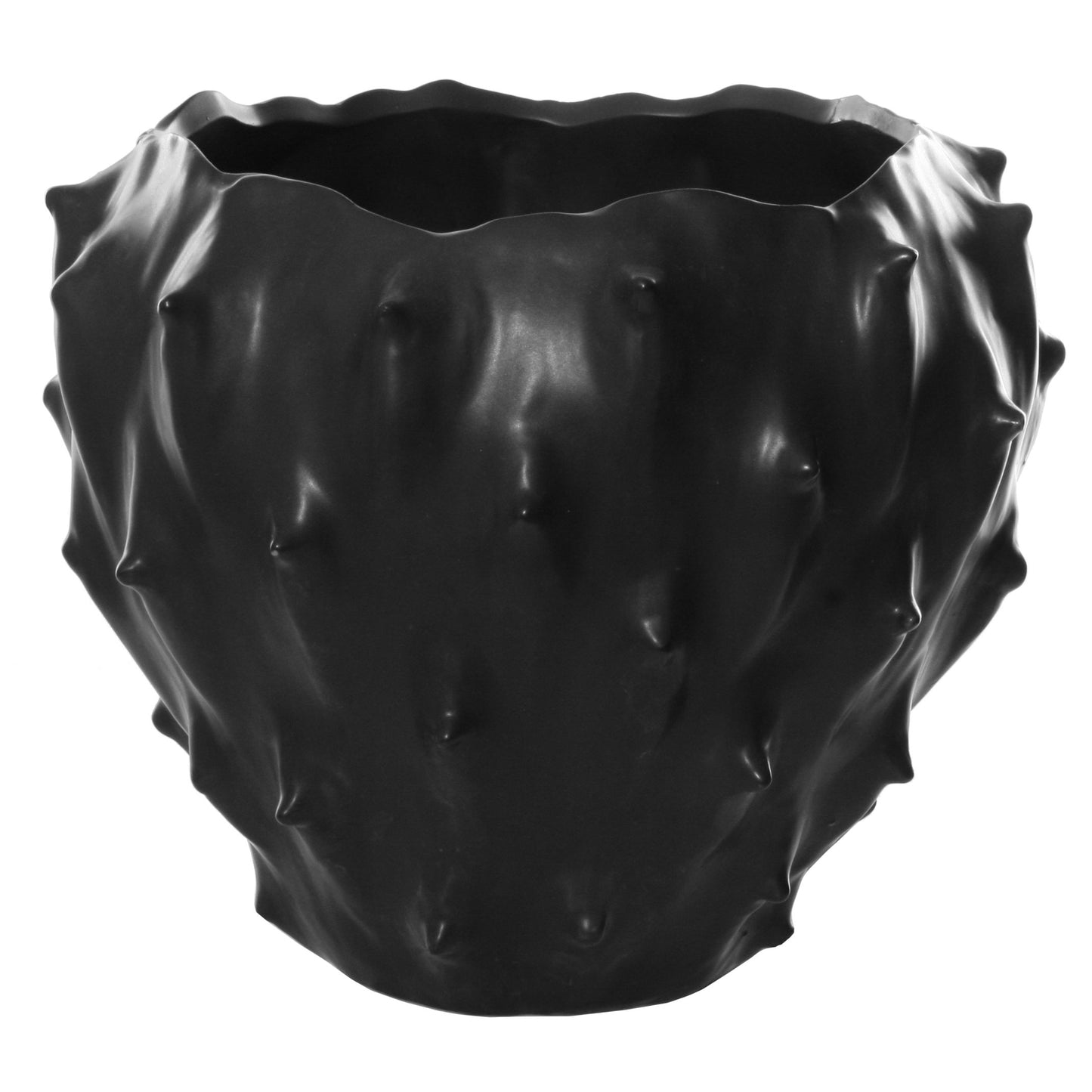 Spiny Pot Black