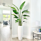7' faux Traveller's Palm in a tall white planter in a Palm Beach Gardens home