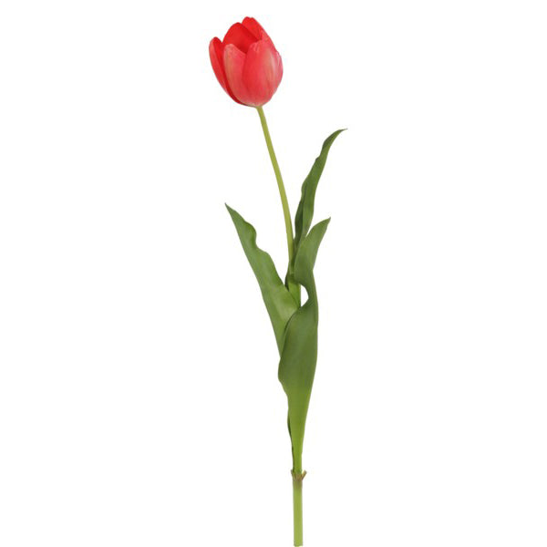Tulip Stem Red 23"