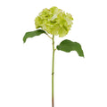 Hydrangea Stem Light Green 18.5"