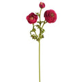Ranunculus Stem Red 24"