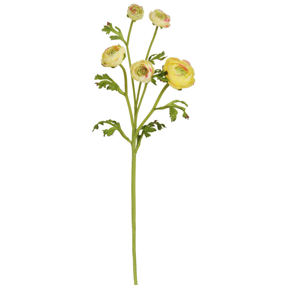 Ranunculus Stem Yellow 21.5"