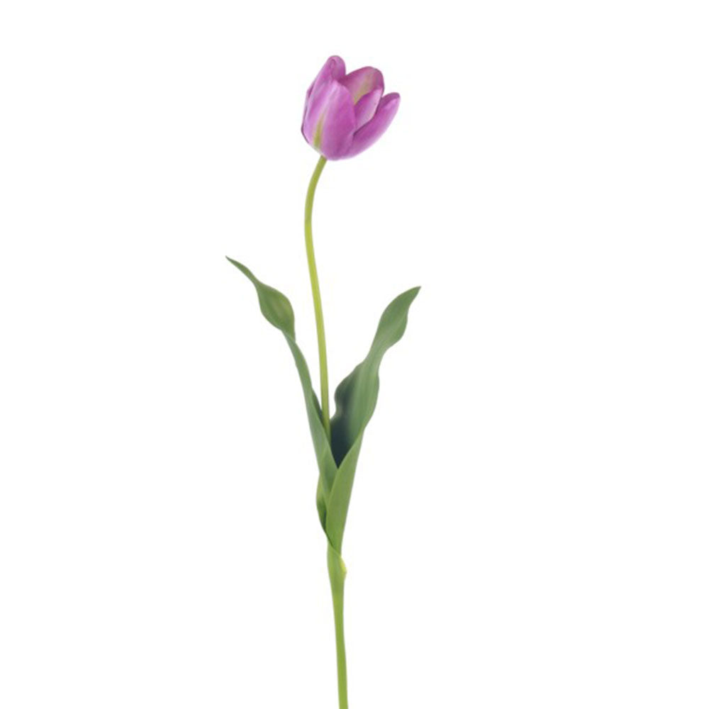 French Tulip Open Purple 27"
