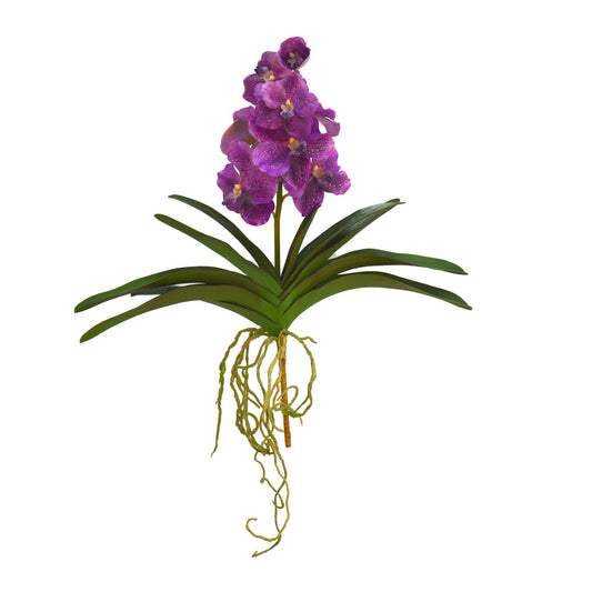 Vanda Orchid Plant Violet 21''