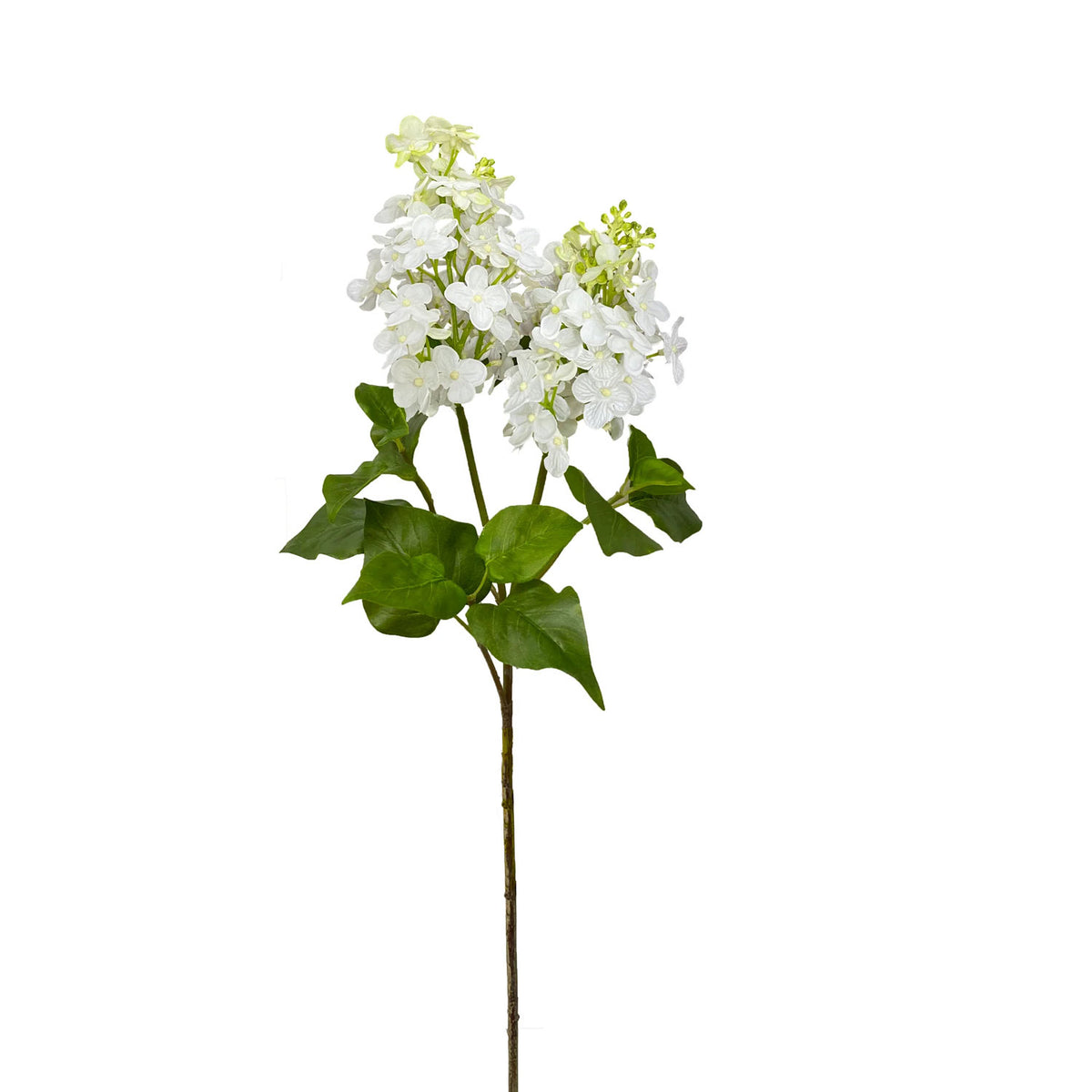 Lilac Stem 27.5''