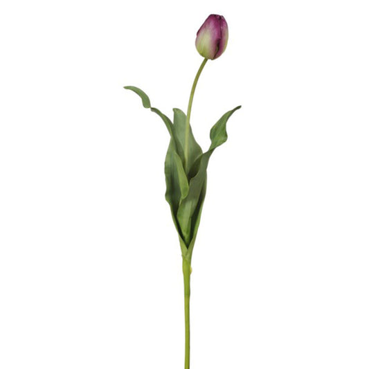 French Tulip Purple 24.5"