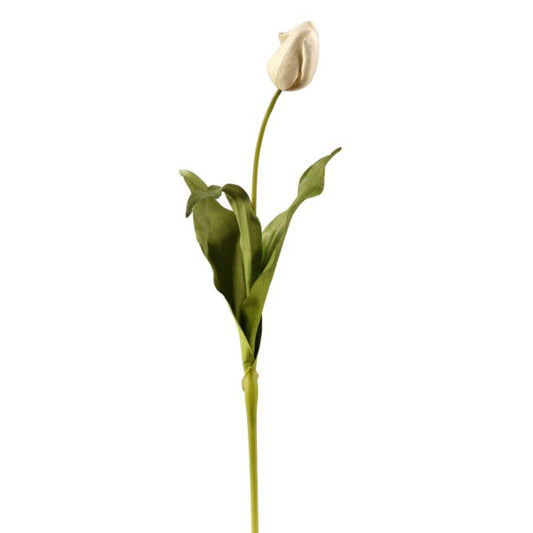 French Tulip White 24.5"