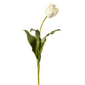 French Tulip Open White 24.5"
