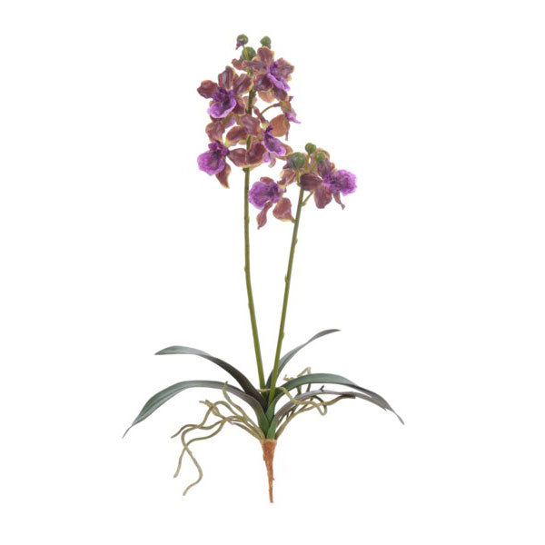 Mini Cymbidium Orchid Purple 17''