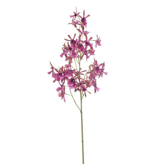 Wild Oncidium Orchid Stem Purple 41''