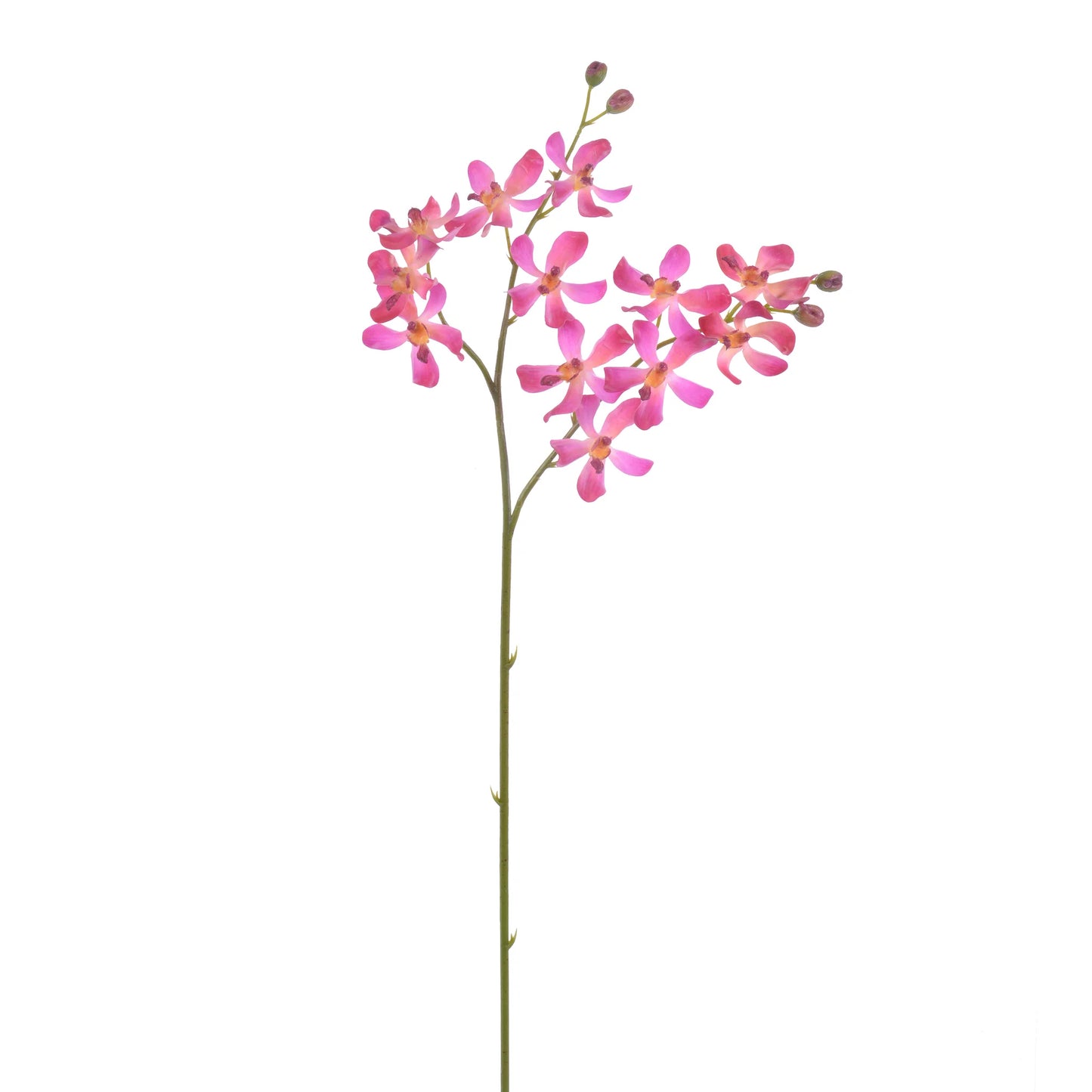 Vanda Orchid Stem Pink 30''