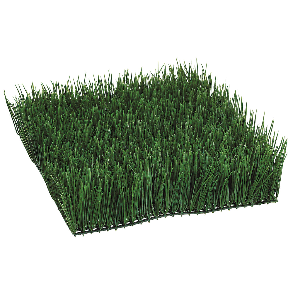 Wheat Grass Mat 12"