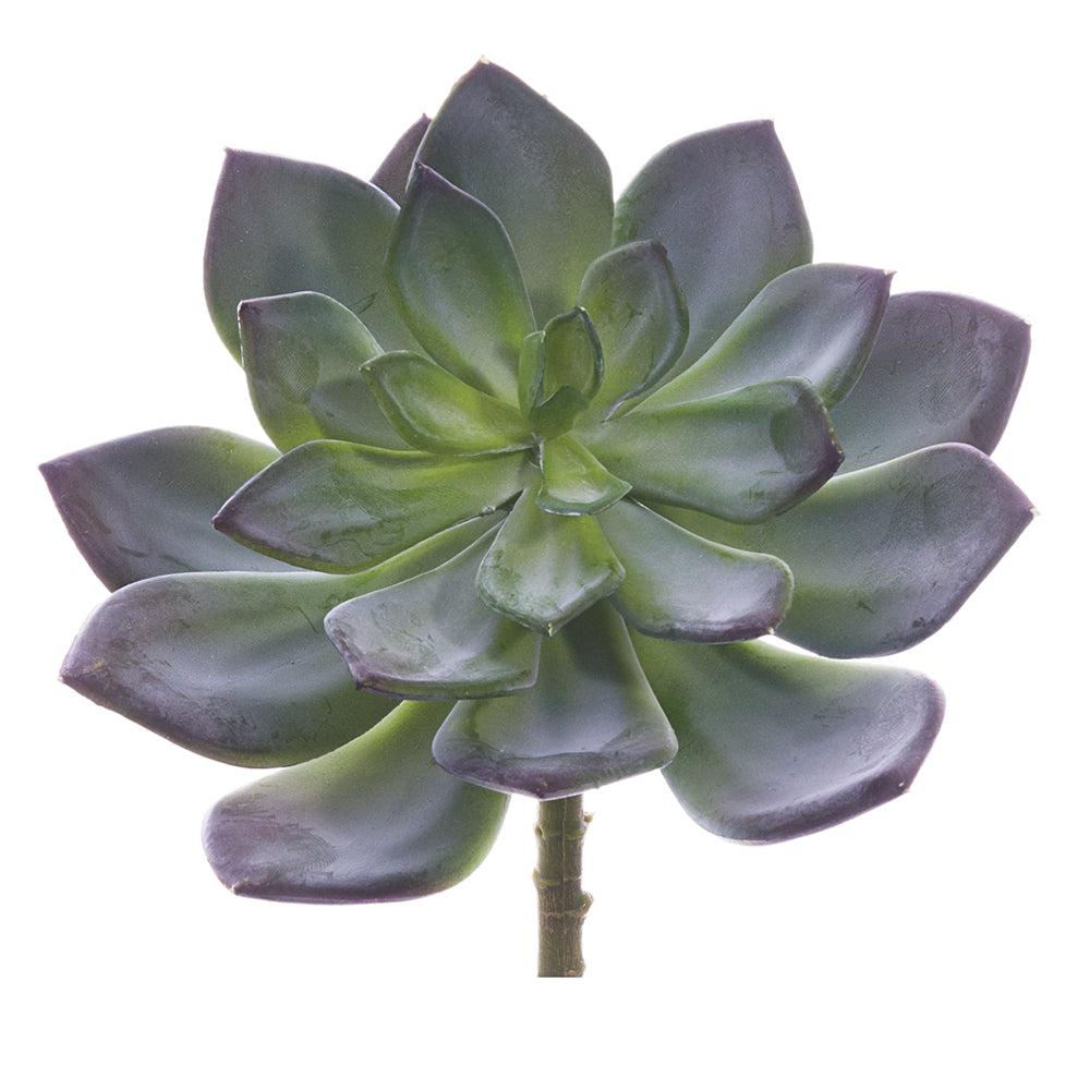 Faux echeveria laui succulent 6" in green