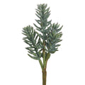 Senecio Triple 16"