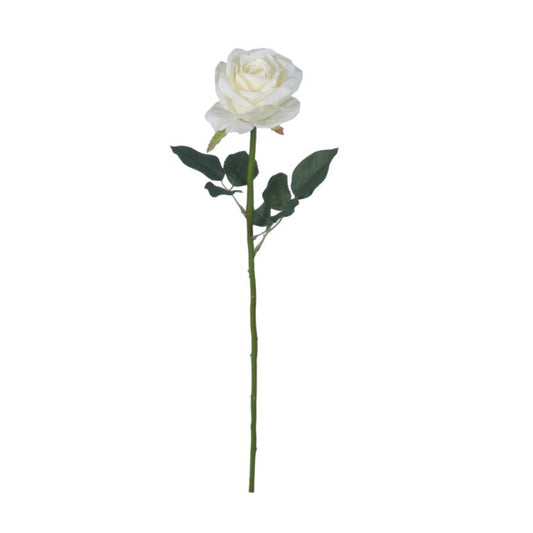 White Heirloom Rose 23"