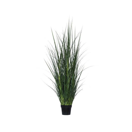 Beach Grass Potted 42"