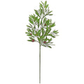 Olive Branch 25"