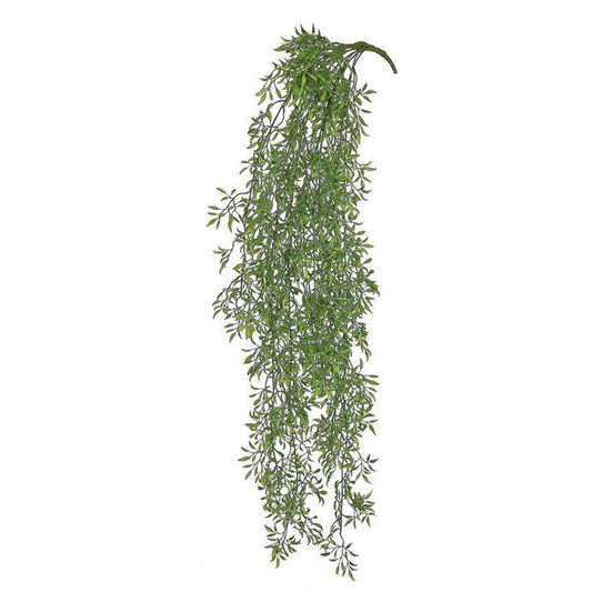 Trailing Mini Ruscus 50"
