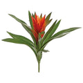 Mini Bromeliad Red Orange 14"