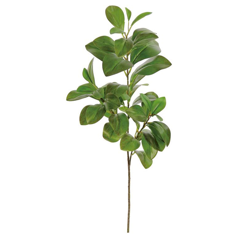 Citrus Branch 27"