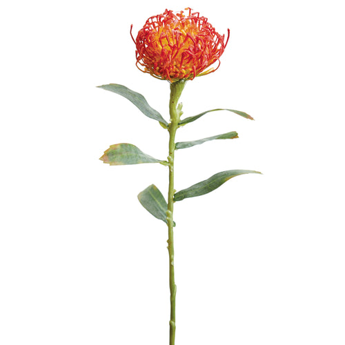 Protea artificiale XIFANG, rosso, 75 cm