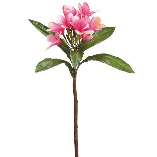 Plumeria Stem Pink 22"