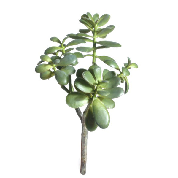 Faux jade succulent stem permanent jade succulent faux succulent