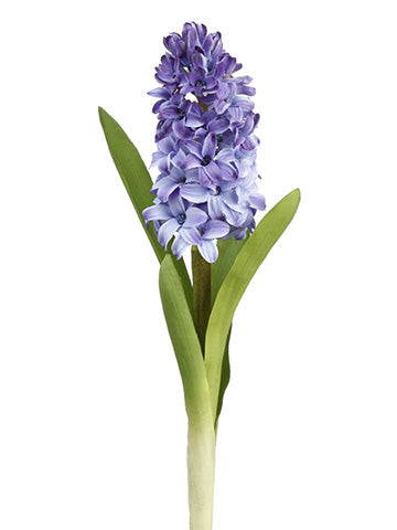 Hyacinth Blue 12.5"