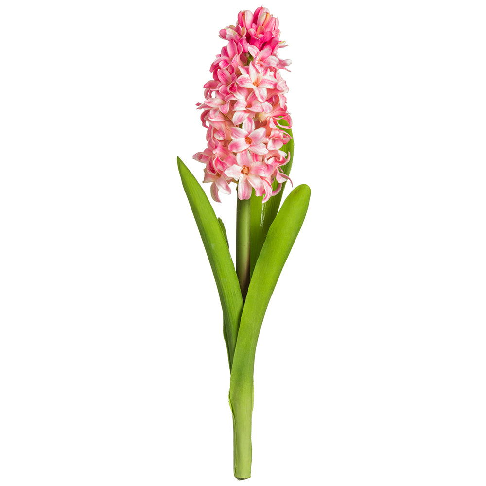 Hyacinth Pink 12.5"