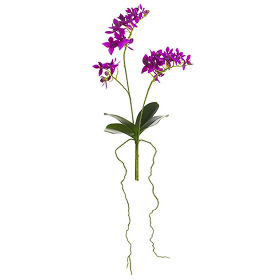 faux orchid permanent orchid faux phalaenopsis orchid plant