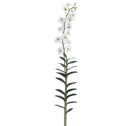 White Dendrobium Orchid Plant 59"