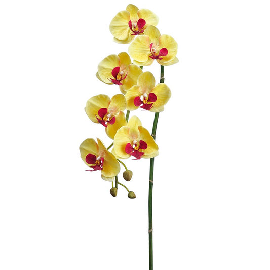 faux orchid permanent orchid faux phalaenopsis orchid stem