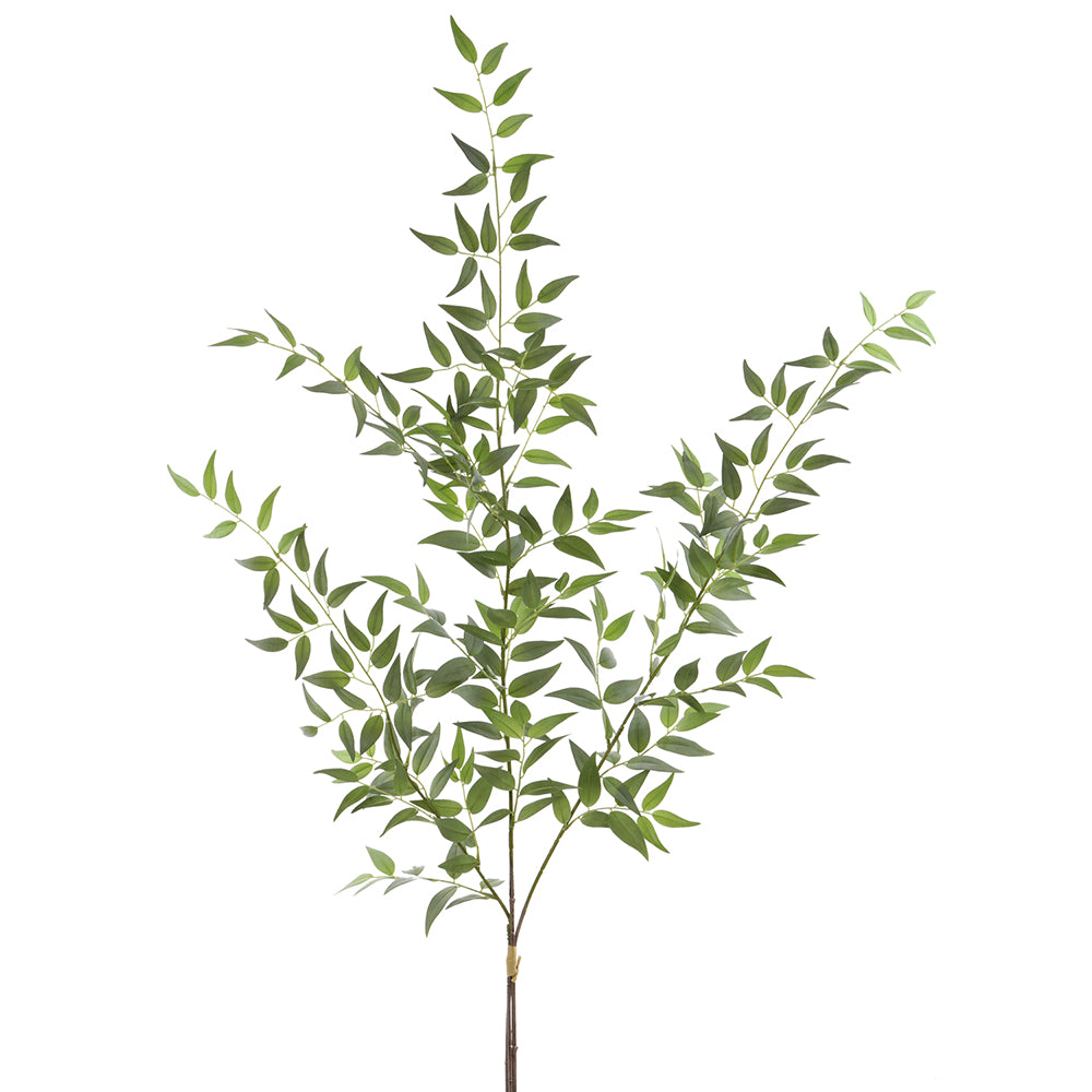 Italian Ruscus 49"
