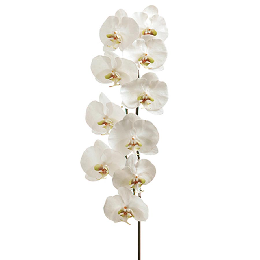 faux orchid permanent orchid faux phalaenopsis orchid stem