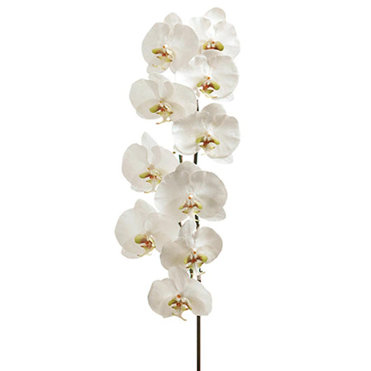 faux orchid permanent orchid faux phalaenopsis orchid stem