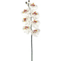 faux orchid permanent orchid faux phalaenopsis orchid stem