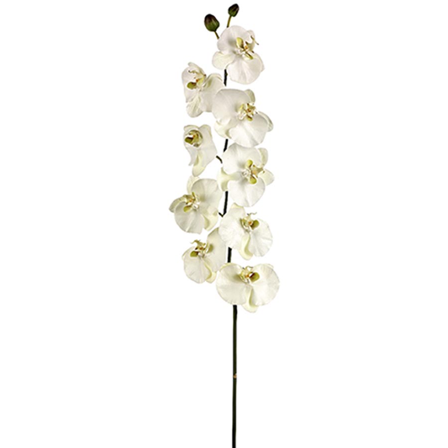 faux orchid permanent orchid faux phalaenopsis orchid stem