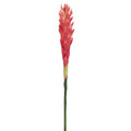 Ginger Flower 30" Pink