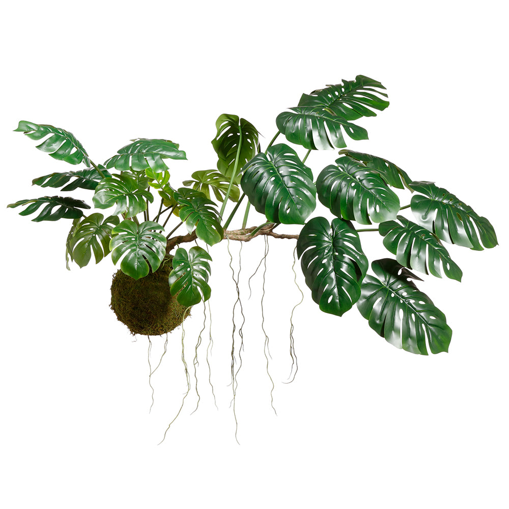 Hanging Monstera kokedama faux botanical sculpture Palm Bungalow